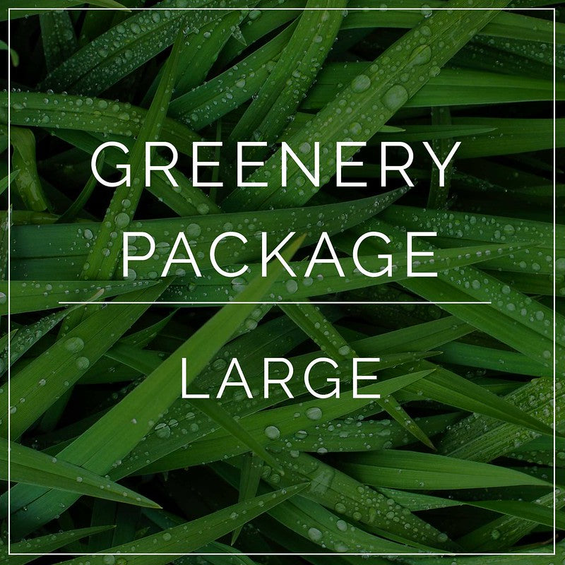 Greenery Only Full DIY - Large Package
